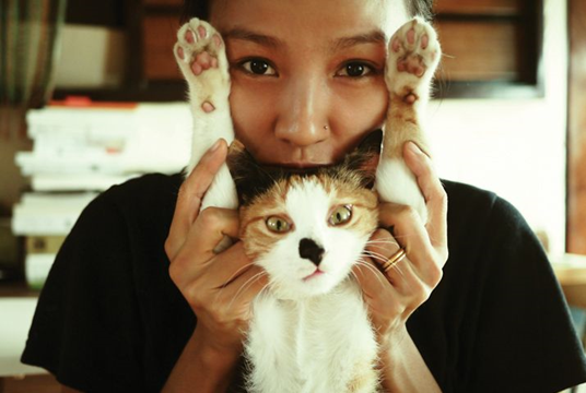 李孝利的貓與其他狗狗在濟州的生活