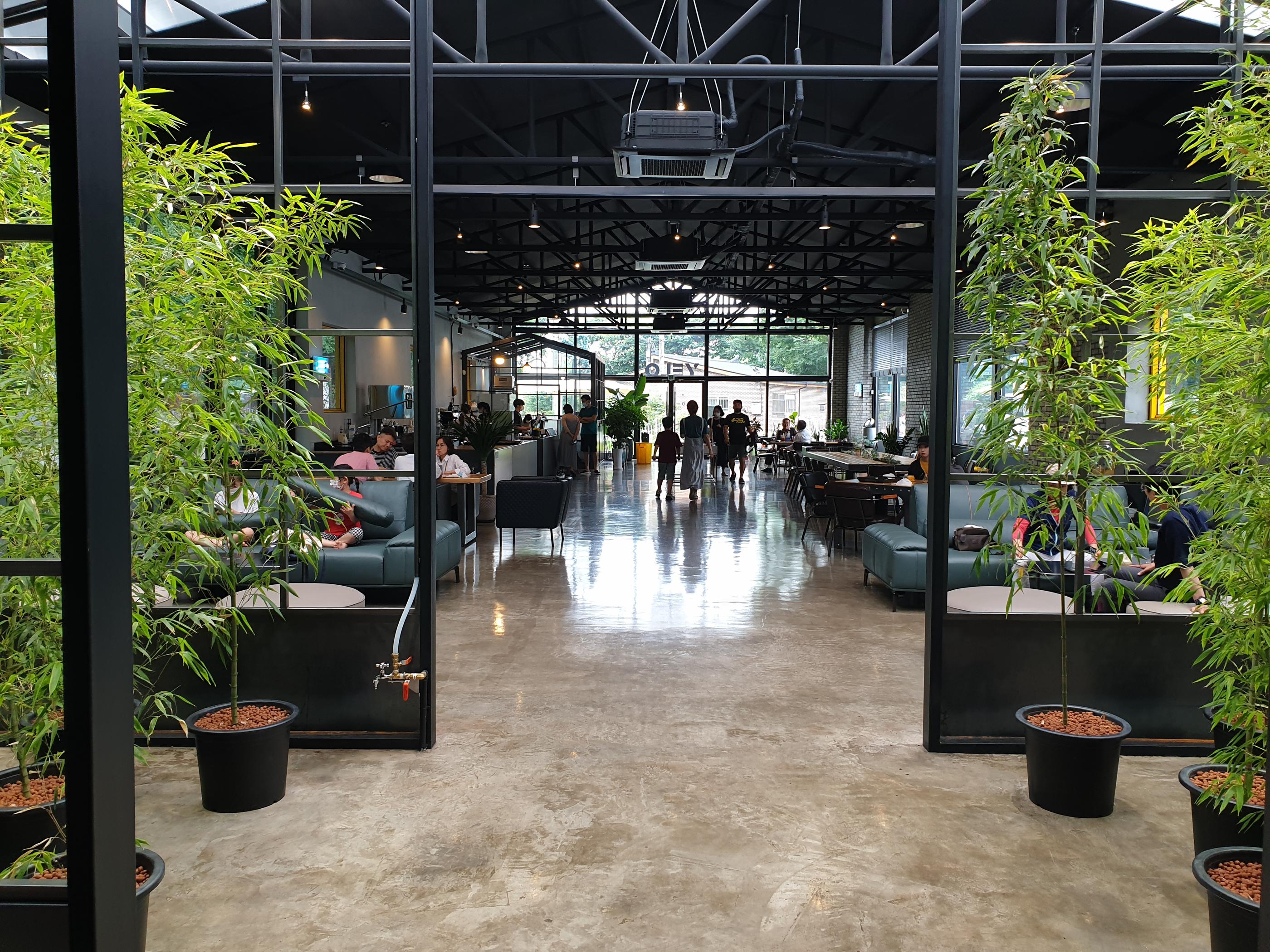 ガラス天井の下にあるイェロコーヒーの内装と植物のディスプレイ
