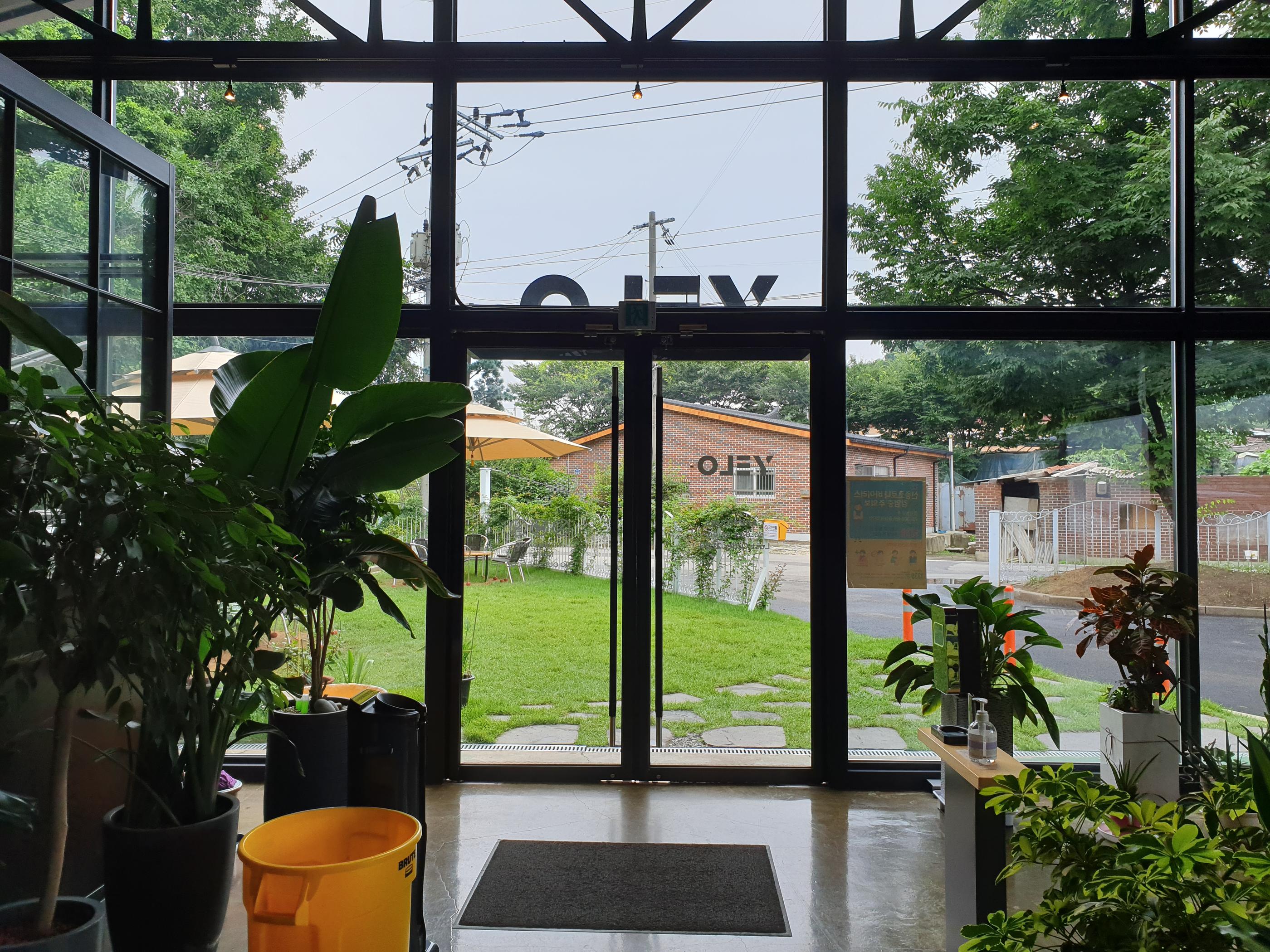 イェロコーヒーカフェのエントランスからの緑豊かな外の眺め