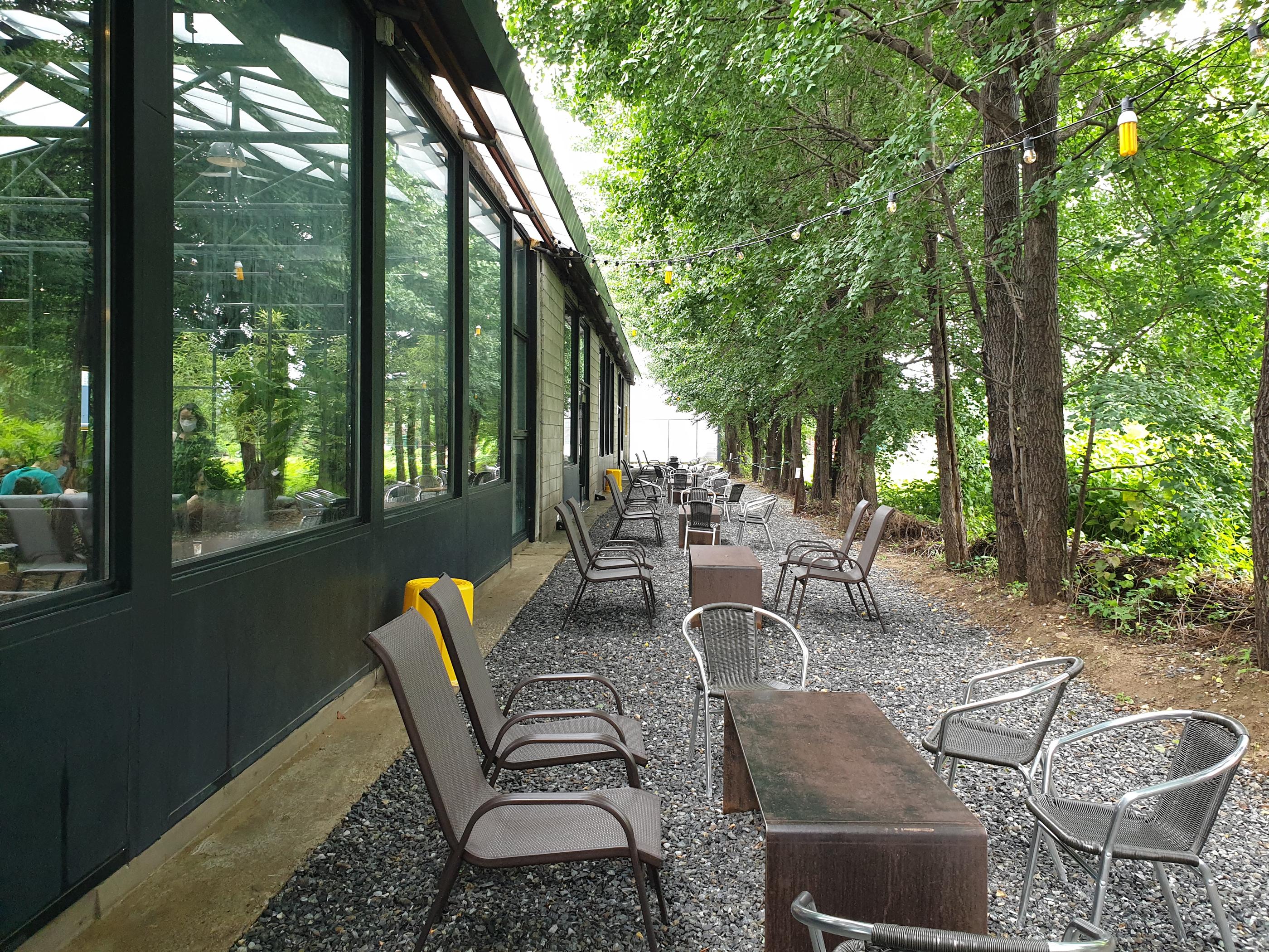 イェロコーヒー店の横にある木陰のテラス席