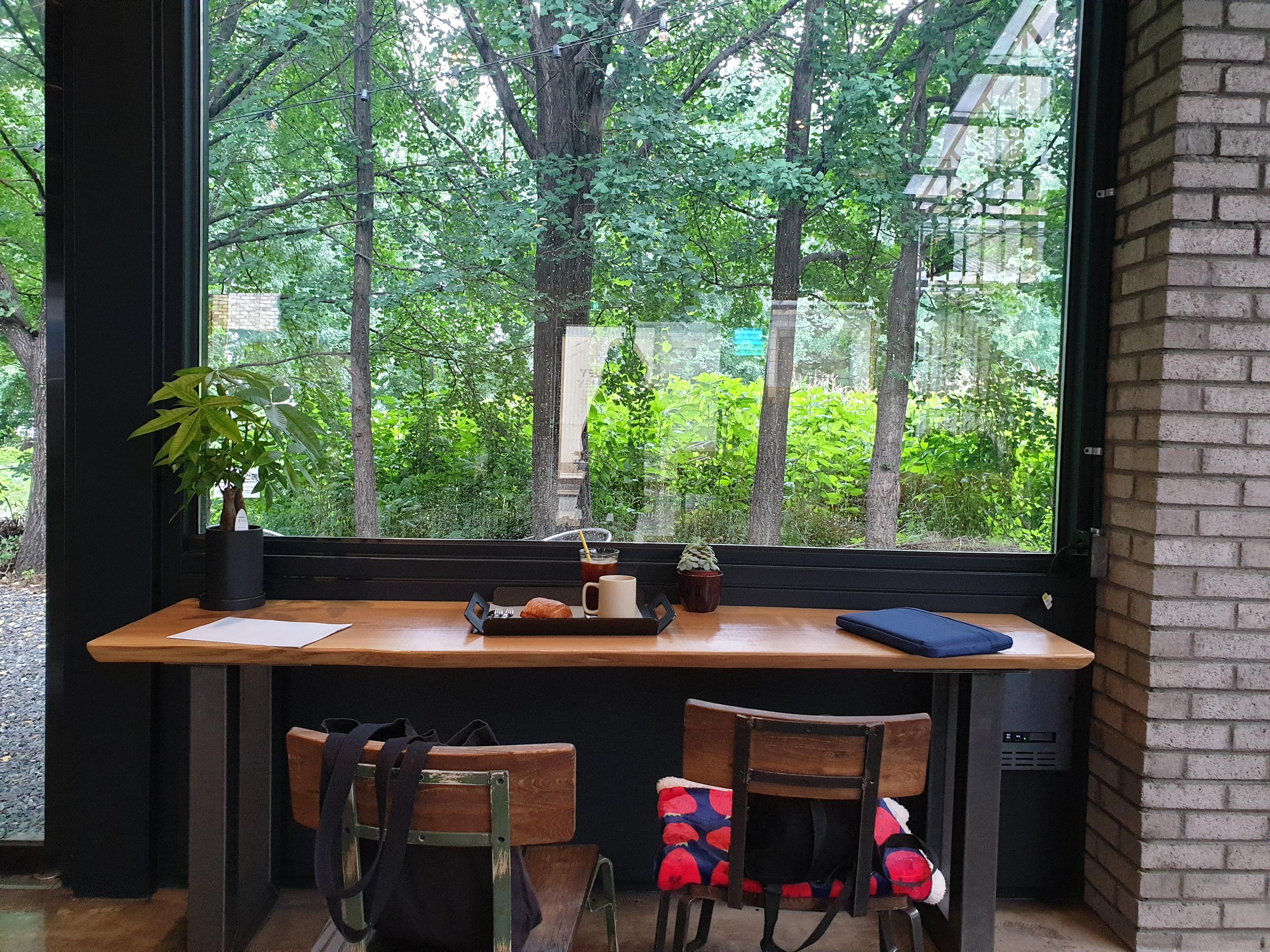 窓からの豊かなグリーンビューと備品が置かれたテーブル席