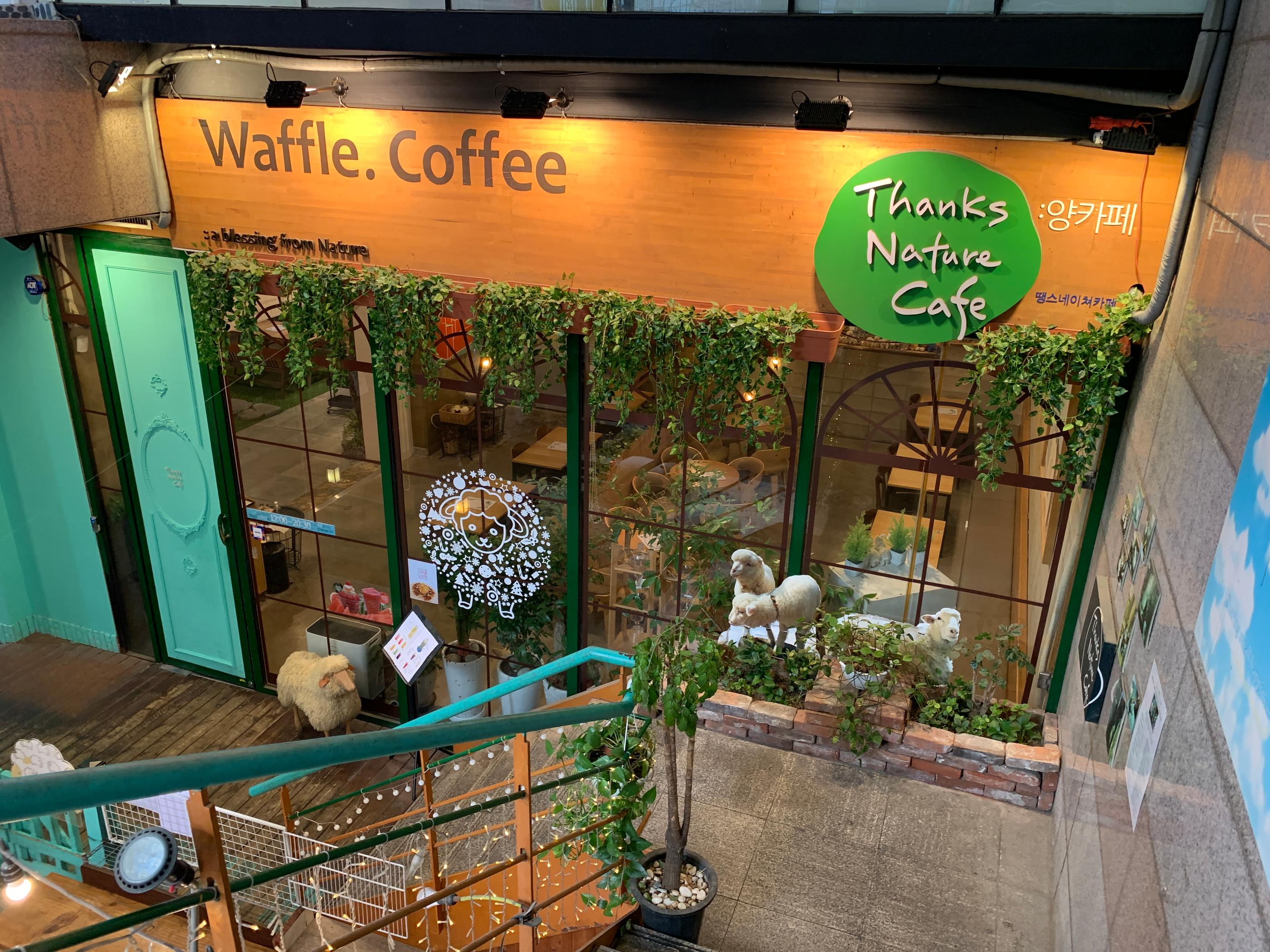 「Thanks Nature Cafe」の外観、窓には羊のイラストが描かれている