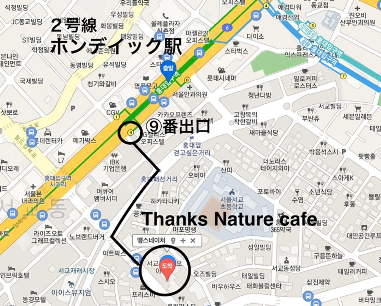 ホンデカフェ ホンデ 韓国カフェ 韓国旅行 羊カフェ 韓国情報 ふれあいカフェ THANKS NATURE CAFE 