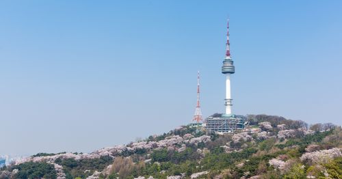 Complete Guide To Namsan! Must-Eats, Must-Drionks And Must-Dos | Creatrip Locals' Guide