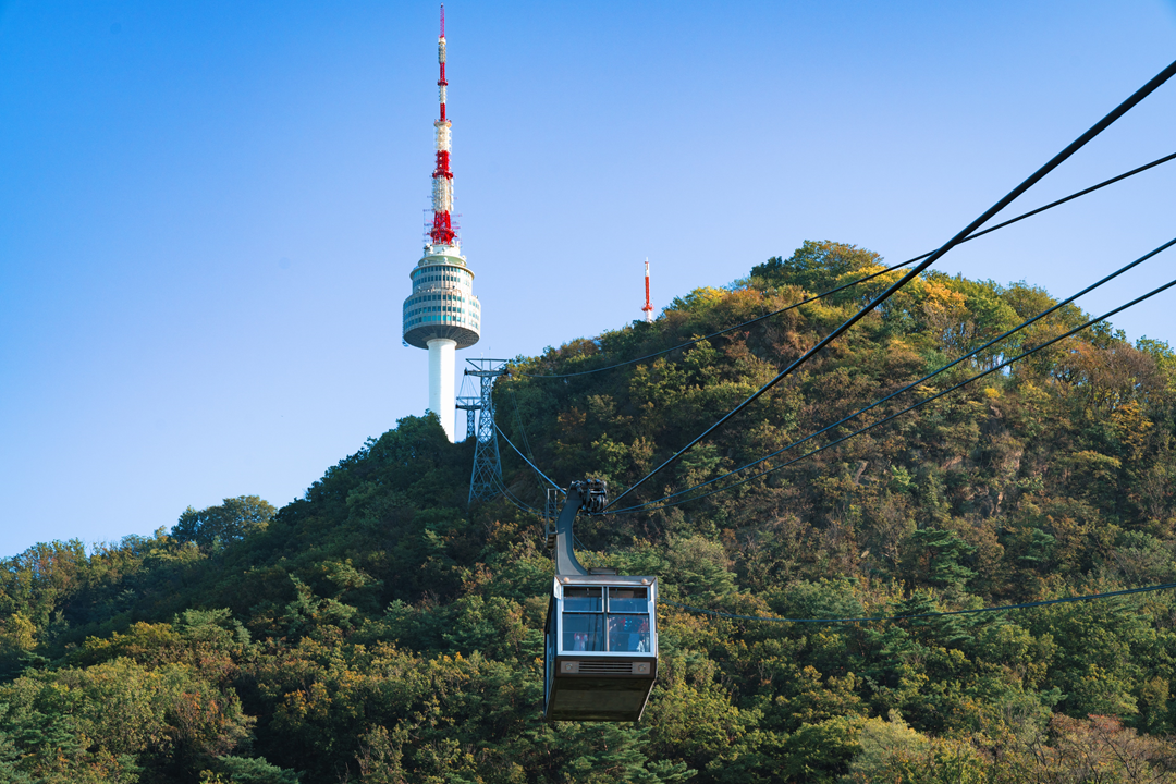 Complete Guide To Namsan! Must-Eats, Must-Drionks And Must-Dos | Creatrip Locals