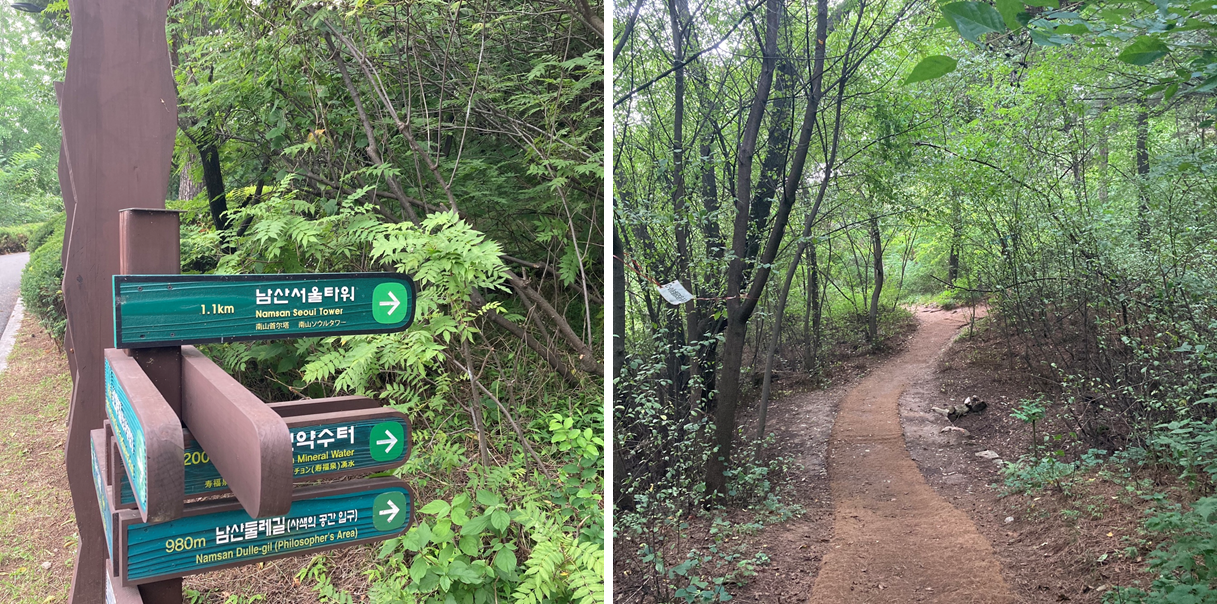 Complete Guide To Namsan! Must-Eats, Must-Drionks And Must-Dos | Creatrip Locals