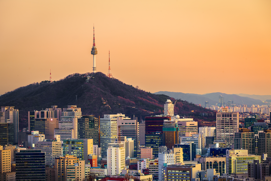 Complete Guide To Namsan! Must-Eats, Must-Drionks And Must-Dos | Creatrip Locals