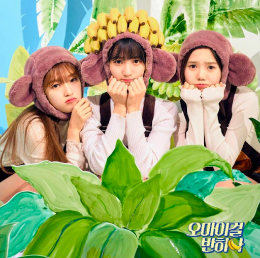 ความเชื่อเรื่องของคู่ครองเกี่ยวกับปีนักษัตรของคนเกาหลี ปีนักษัตรไหนอยู่ด้วยกันแล้วจะรุ่ง,อยู่ด้วยกันแล้วรักกันได้นานๆ หรือปีนักษัตรไหนจะอยู่ด้วยกันแล้วพากันลำบาก?