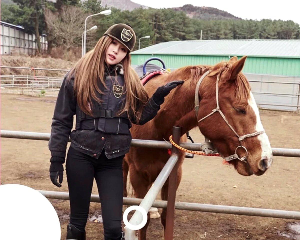 ความเชื่อเรื่องของคู่ครองเกี่ยวกับปีนักษัตรของคนเกาหลี ปีนักษัตรไหนอยู่ด้วยกันแล้วจะรุ่ง,อยู่ด้วยกันแล้วรักกันได้นานๆ หรือปีนักษัตรไหนจะอยู่ด้วยกันแล้วพากันลำบาก?