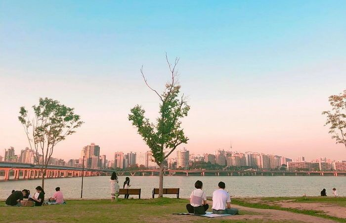 A Complete Breakdown Of Seoul Travel From Tourist Attractions And Parks To Food And Drinks | SEOUL TRAVEL GUIDE | Creatrip Locals