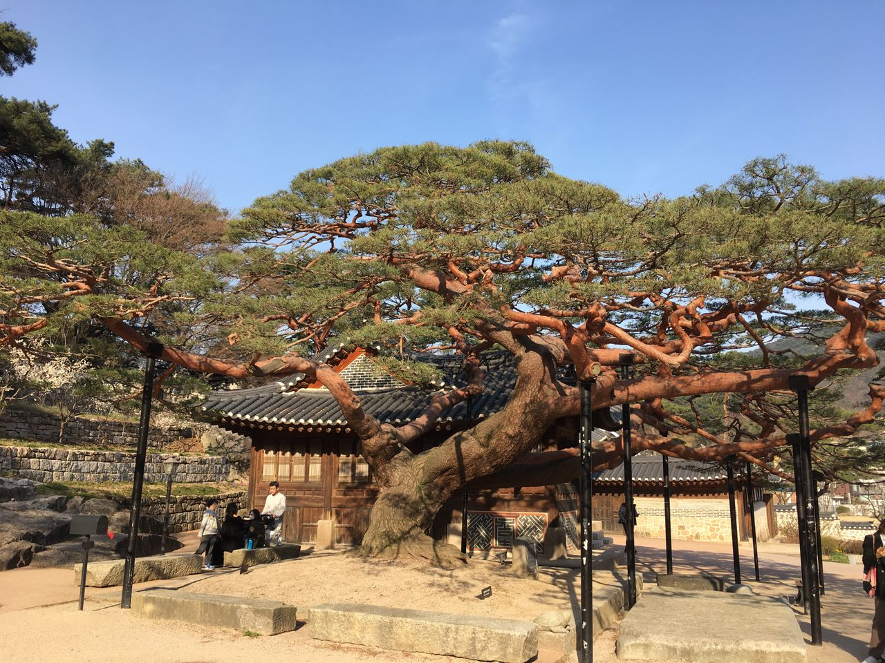 A Complete Breakdown Of Seoul Travel From Tourist Attractions And Parks To Food And Drinks | SEOUL TRAVEL GUIDE | Creatrip Locals