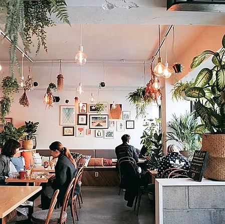 A Complete Guide On Vegan Eateries And Cafes In Korea