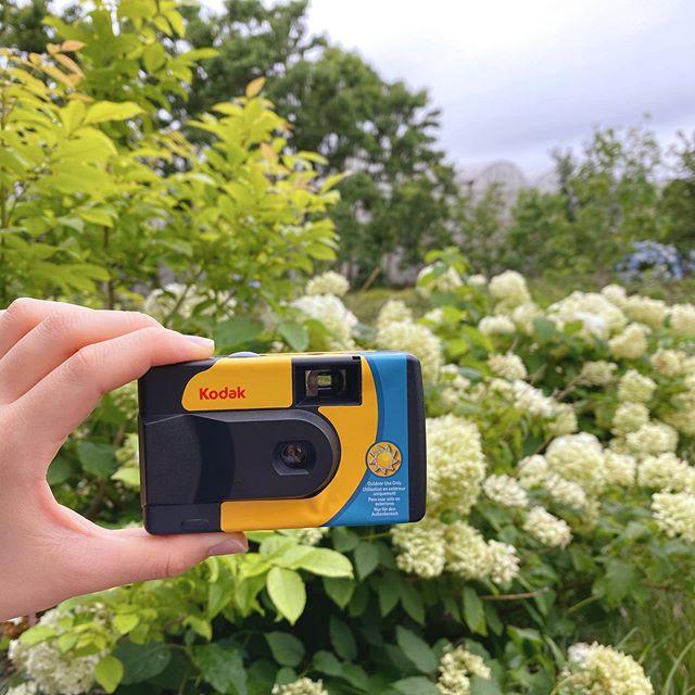 Máy Ảnh Kodak - Thương Hiệu Kodak 1 *