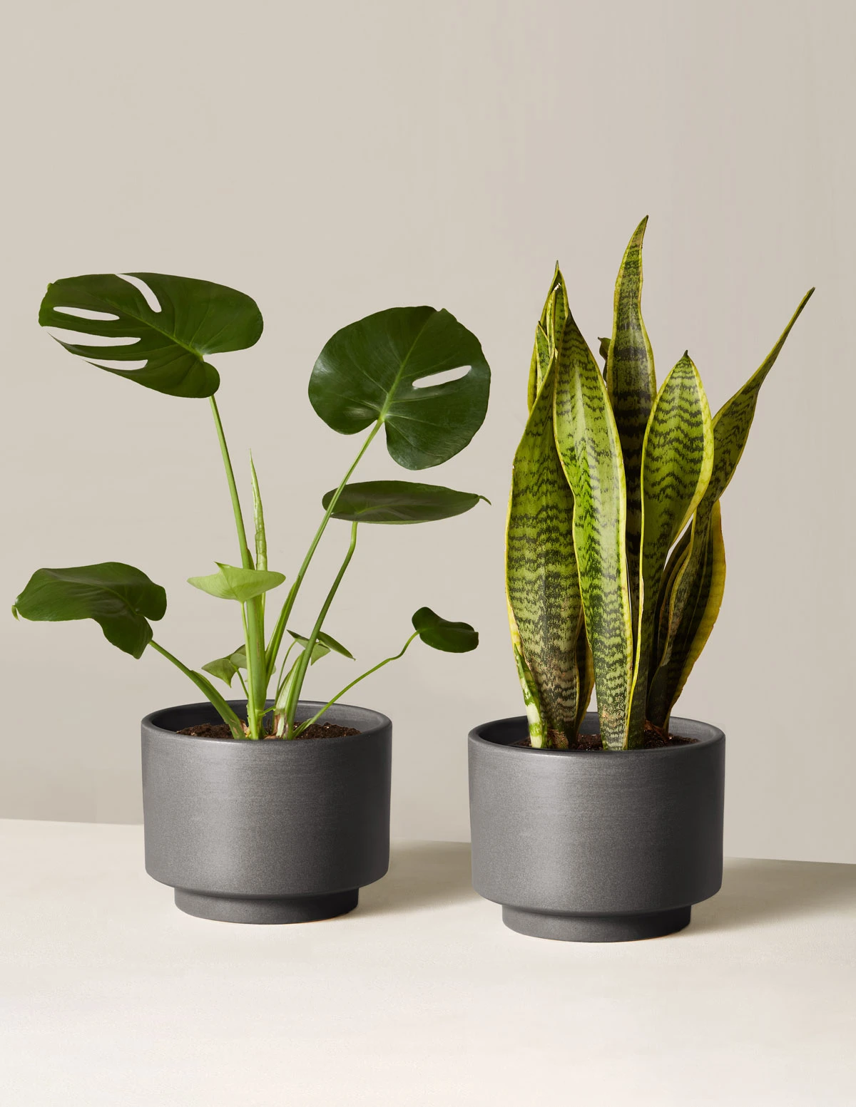 Đi ăn tân gia tại Hàn Quốc nên tặng quà gì?