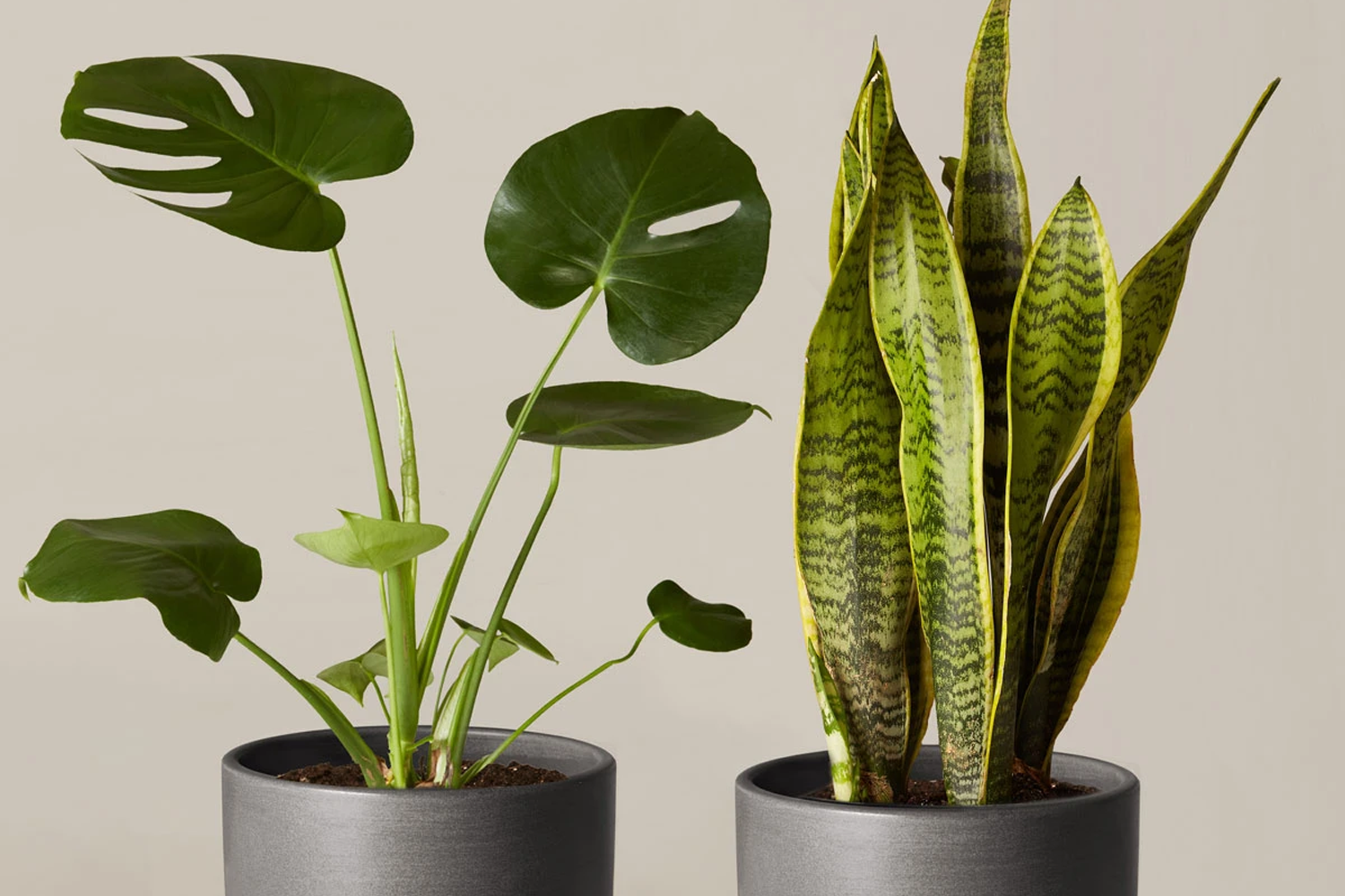 韓國喬遷宴禮物