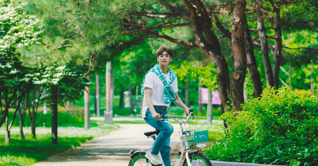 韓國人氣明星車銀優正在錄製旅遊的VR影片，圖中他騎著自行車在綠色的公園小道上微笑。