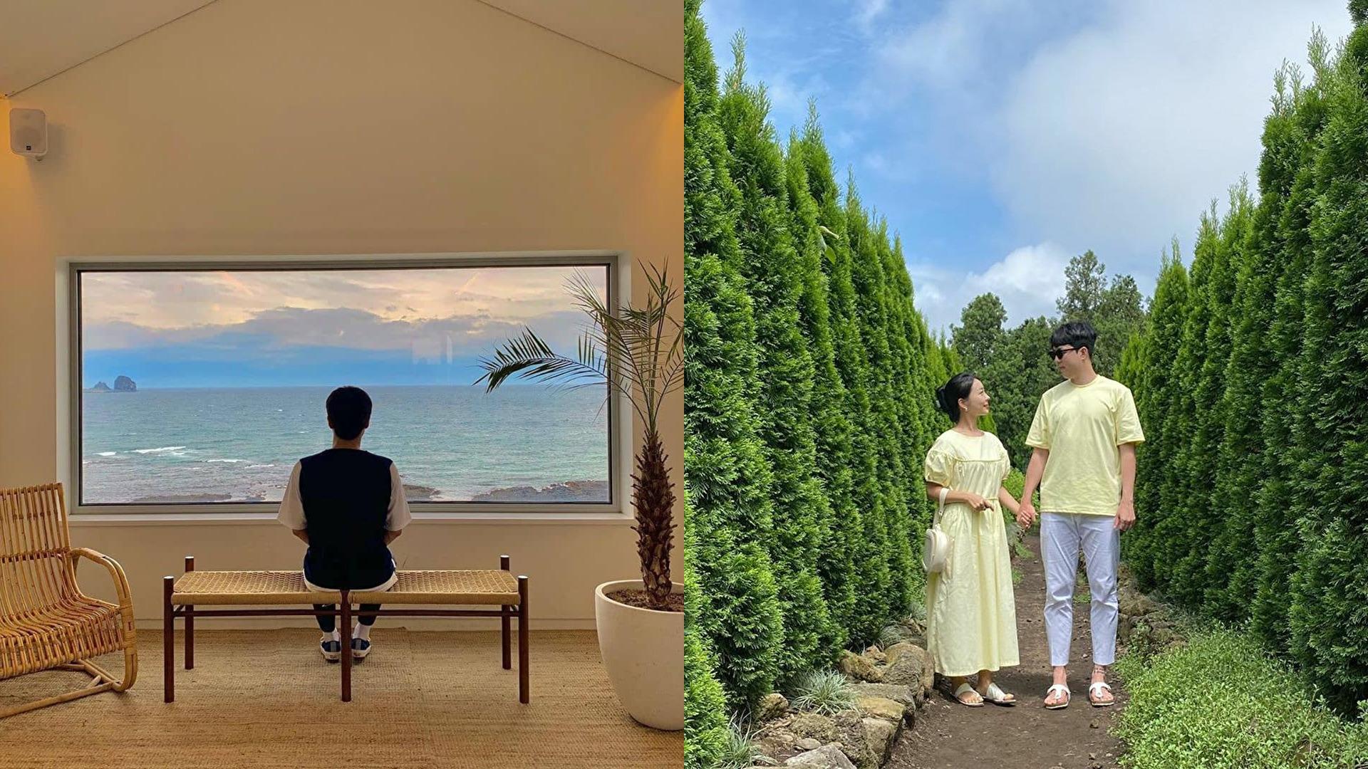 チェジュ島 オススメカフェ