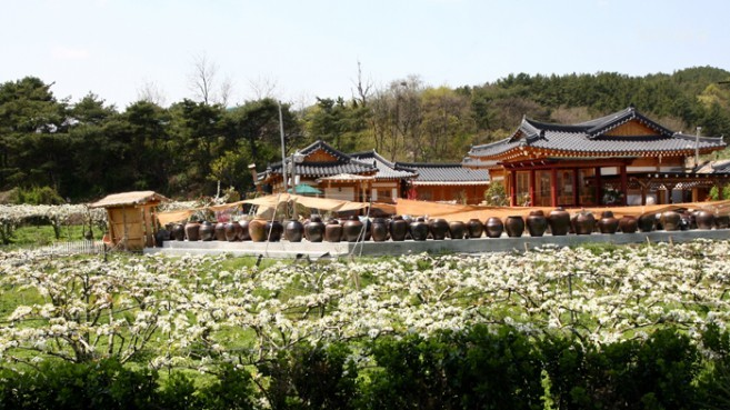 Best Hotels, Hanok Stays, Guesthouses, Rental Houses In Busan
