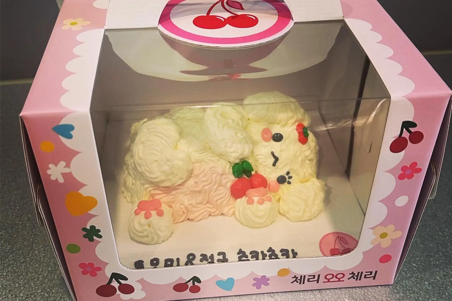 韓國生日蛋糕 首爾生日蛋糕 推薦 蛋糕店預約