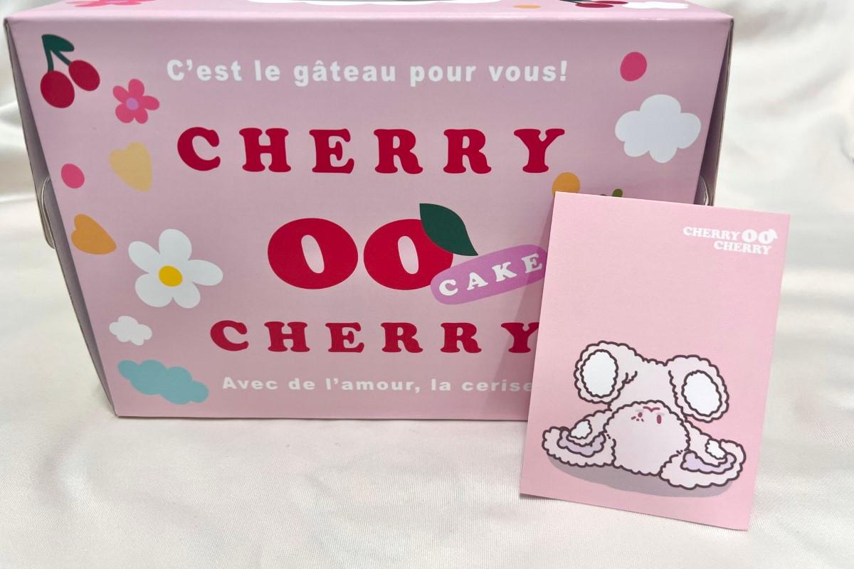 韓國可愛訂製蛋糕鋪頭 韓國訂蛋糕 韓國蛋糕 明星蛋糕 韓國客製化蛋糕 預約 CHERRY OO CHERRY 체리오오체리