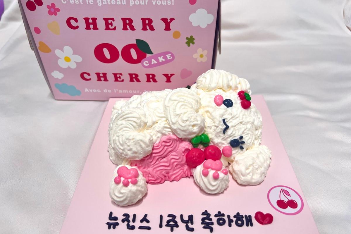 韓國可愛訂製蛋糕鋪頭 韓國訂蛋糕 韓國蛋糕 明星蛋糕 韓國客製化蛋糕 預約 CHERRY OO CHERRY 체리오오체리