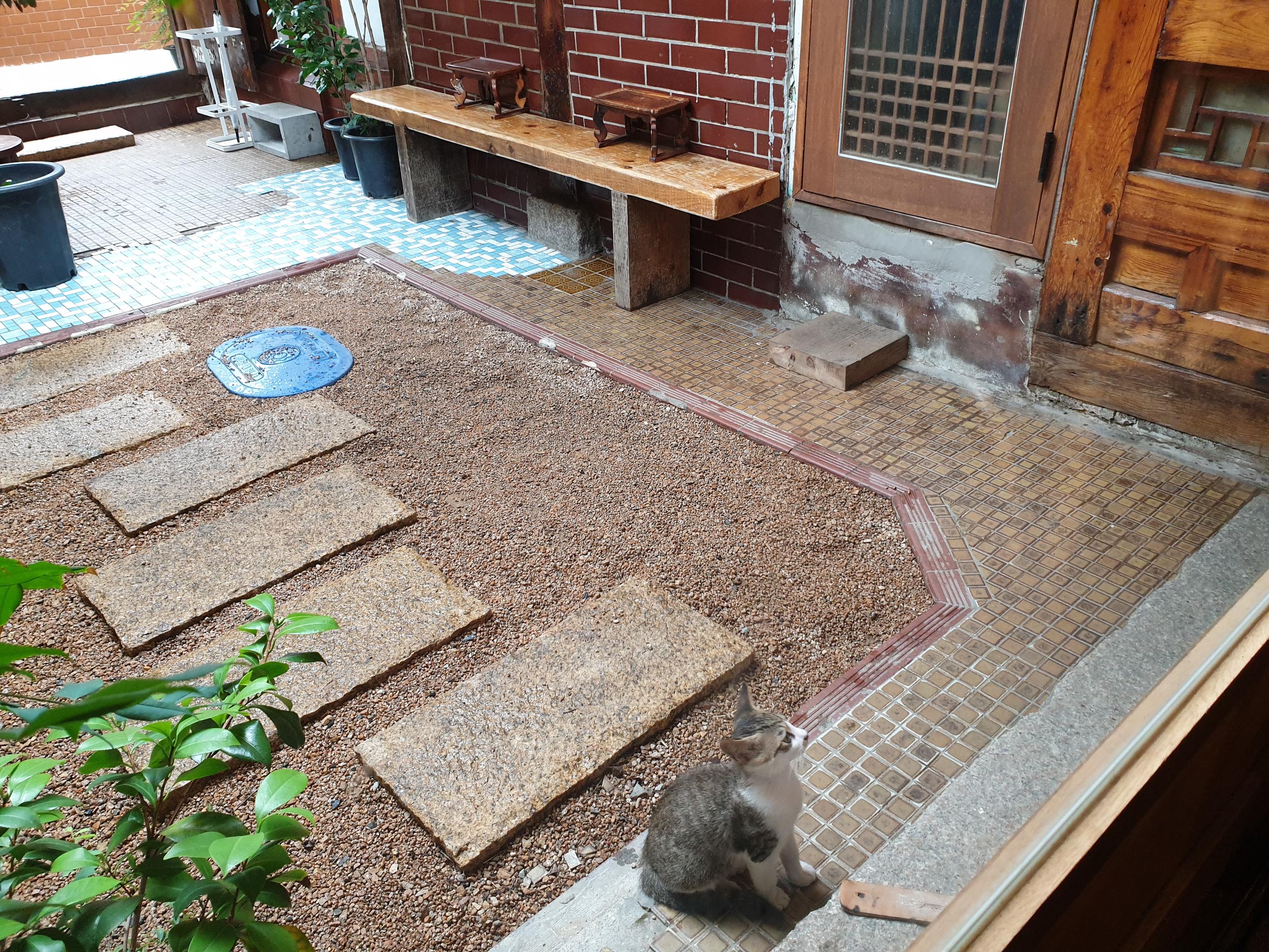 恵化、恵化駅、ヘファ、ヘファ駅、ソウル大、ソウル大学、ソウル大学医学部、韓国カフェ、韓国イタリアン、韓国パスタ、韓屋カフェ、パスタ、韓国、カフェ、大学路、テハンロ、テハンノ、マッチブ、演劇、韓国演劇、シカゴピザ、韓国シカゴピザ、韓国ピザ、韓国チーズ、パネパスタ、ソファコーヒー、リアルシカゴピザ