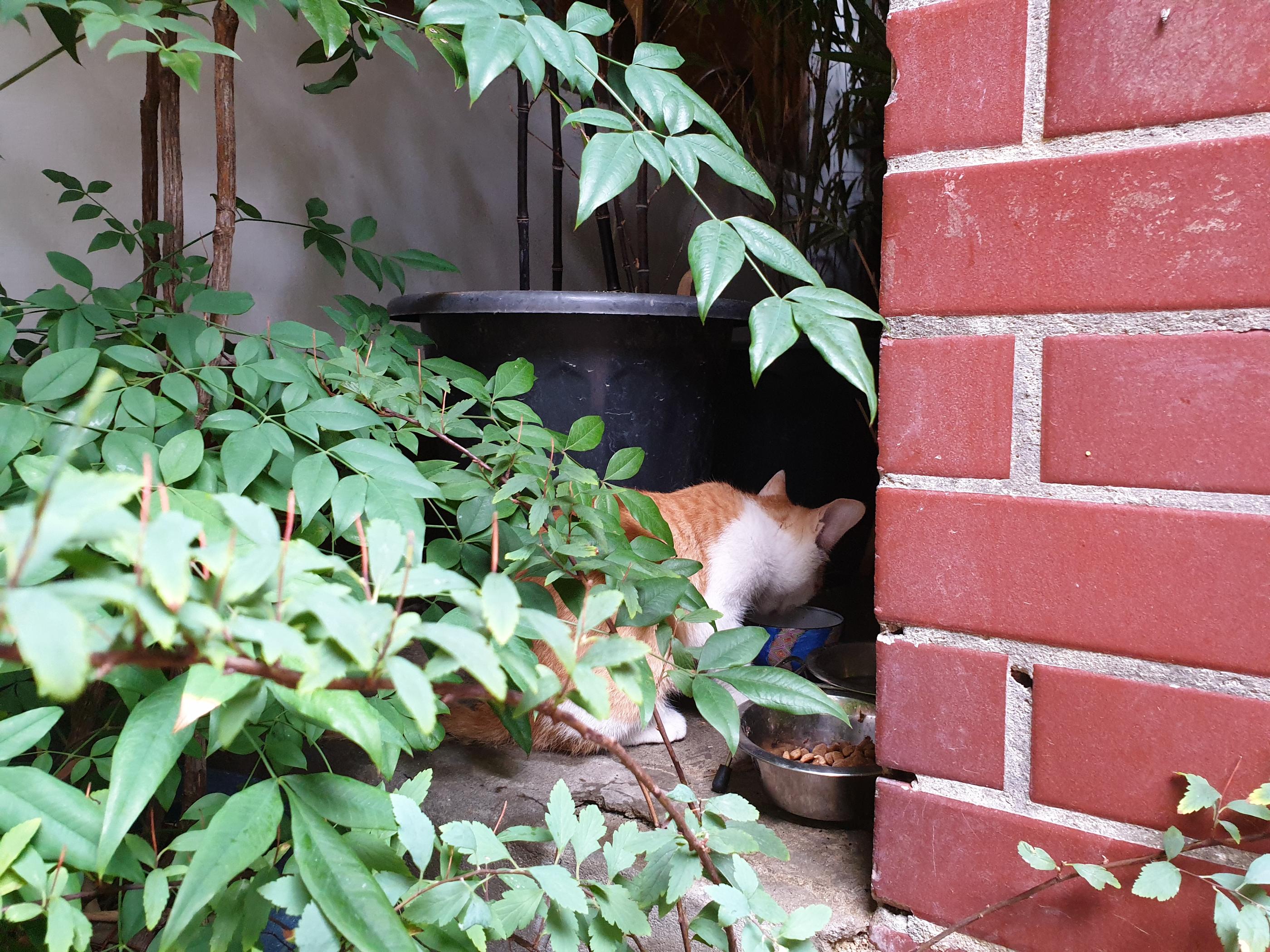 恵化、恵化駅、ヘファ、ヘファ駅、ソウル大、ソウル大学、ソウル大学医学部、韓国カフェ、韓国イタリアン、韓国パスタ、韓屋カフェ、パスタ、韓国、カフェ、大学路、テハンロ、テハンノ、マッチブ、演劇、韓国演劇、シカゴピザ、韓国シカゴピザ、韓国ピザ、韓国チーズ、パネパスタ、ソファコーヒー、リアルシカゴピザ