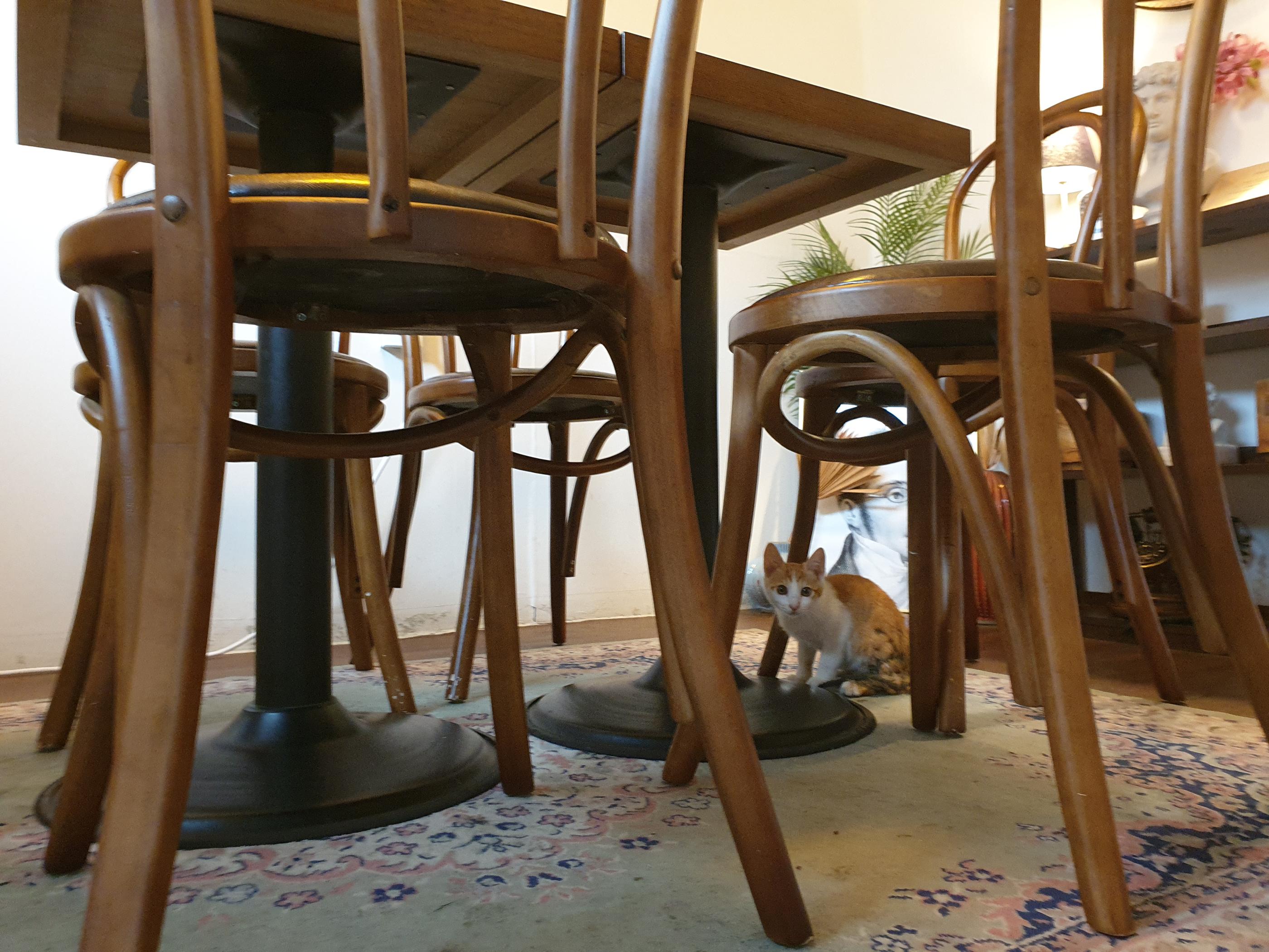 恵化、恵化駅、ヘファ、ヘファ駅、ソウル大、ソウル大学、ソウル大学医学部、韓国カフェ、韓国イタリアン、韓国パスタ、韓屋カフェ、パスタ、韓国、カフェ、大学路、テハンロ、テハンノ、マッチブ、演劇、韓国演劇、シカゴピザ、韓国シカゴピザ、韓国ピザ、韓国チーズ、パネパスタ、ソファコーヒー、リアルシカゴピザ