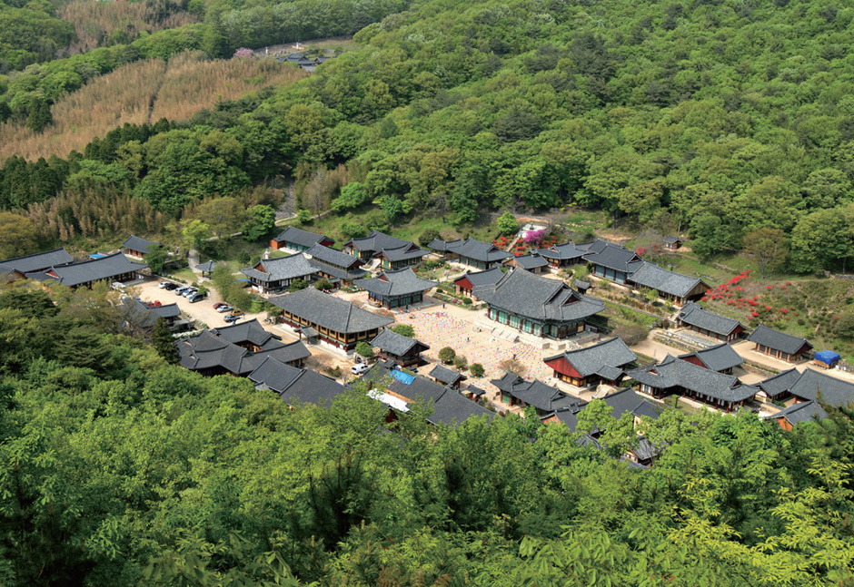 Your Complete Guide To Mountains Hiking in Korea, HIKING IN KOREA | Creatrip Locals