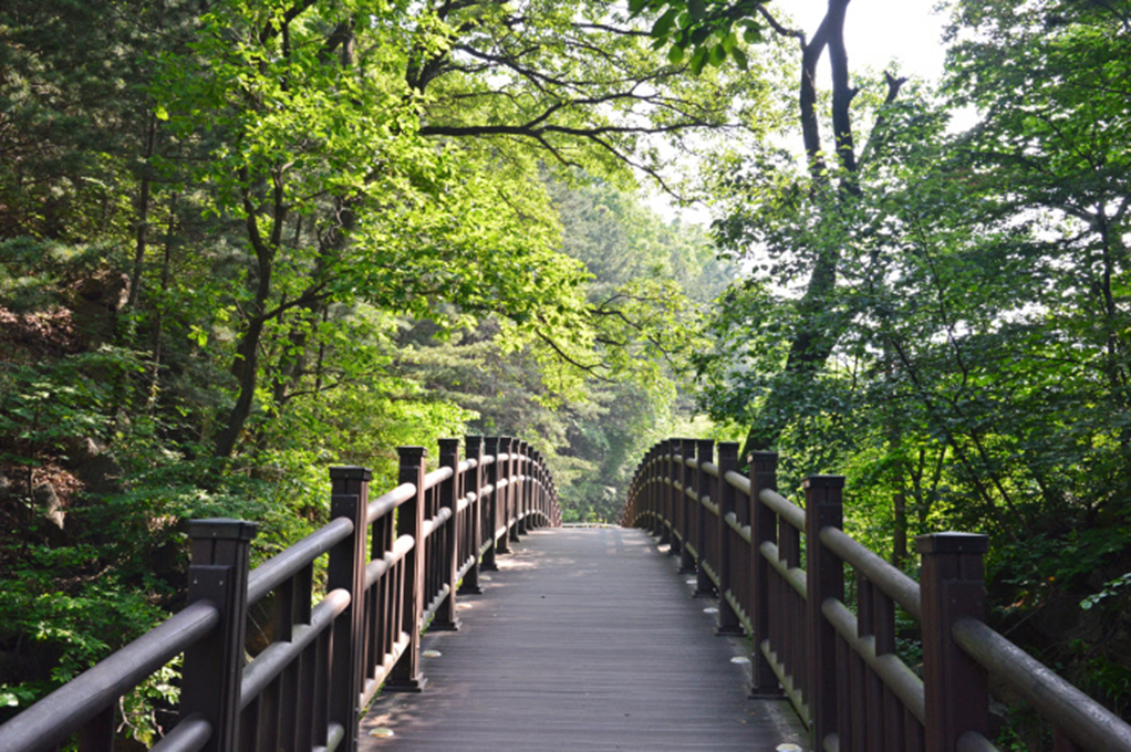 Your Complete Guide To Mountains Hiking in Korea, HIKING IN KOREA | Creatrip Locals