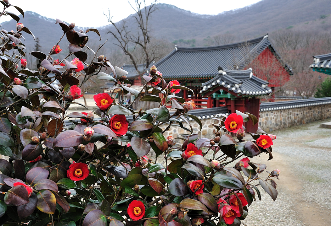 Your Complete Guide To Mountains Hiking in Korea, HIKING IN KOREA | Creatrip Locals