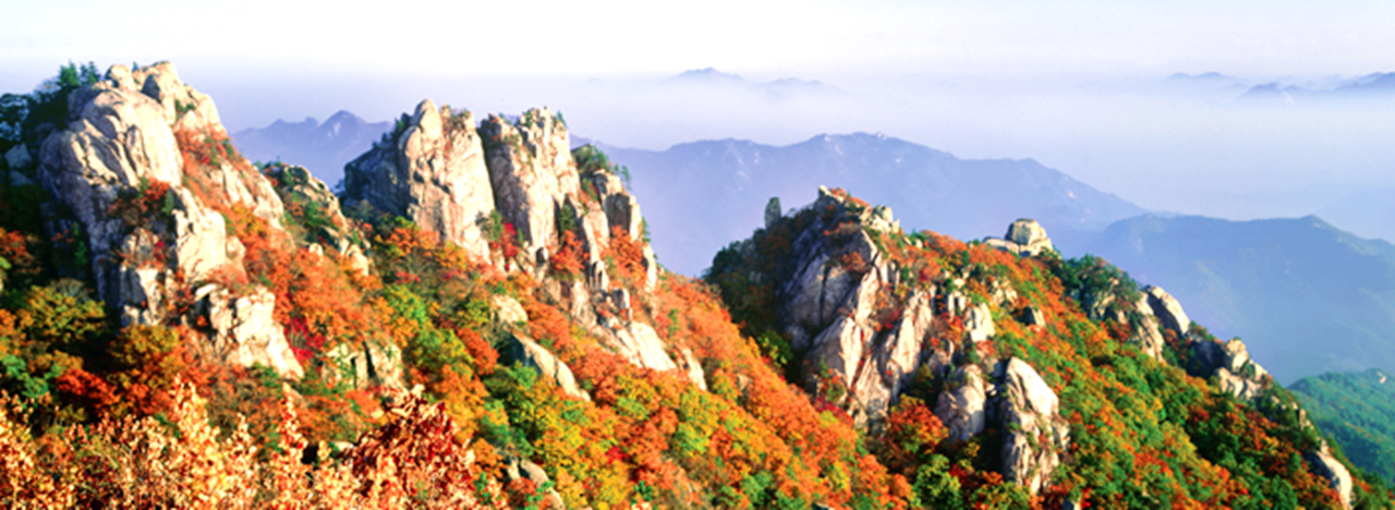 Your Complete Guide To Mountains Hiking in Korea, HIKING IN KOREA | Creatrip Locals