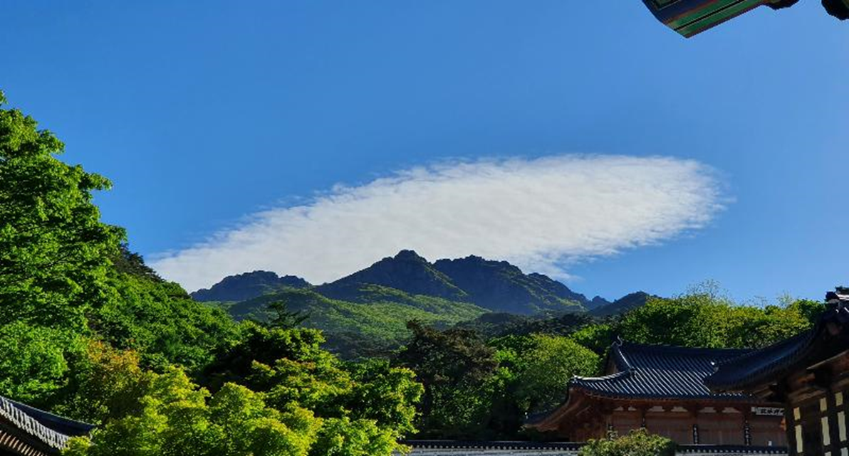 Your Complete Guide To Mountains Hiking in Korea, HIKING IN KOREA | Creatrip Locals