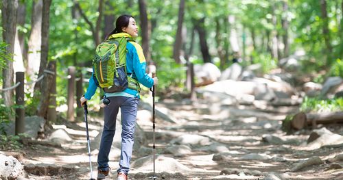 Your Complete Guide To Mountains Hiking in Korea, HIKING IN KOREA | Creatrip Locals' Guide