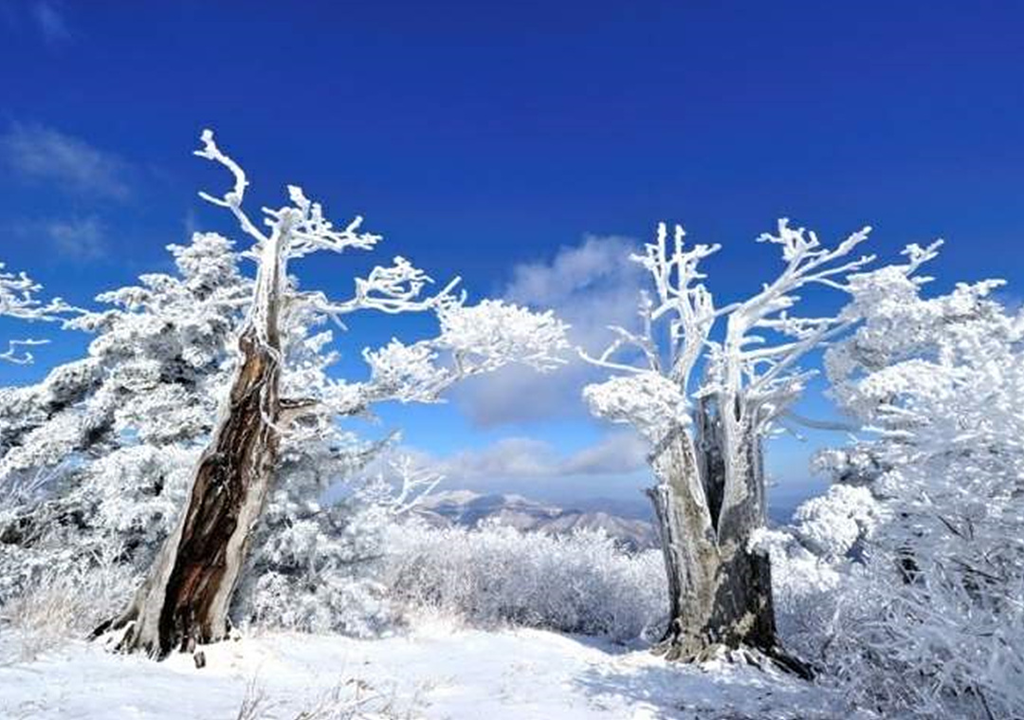 Your Complete Guide To Mountains Hiking in Korea, HIKING IN KOREA | Creatrip Locals