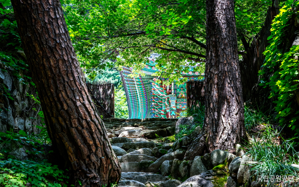 Your Complete Guide To Mountains Hiking in Korea, HIKING IN KOREA | Creatrip Locals