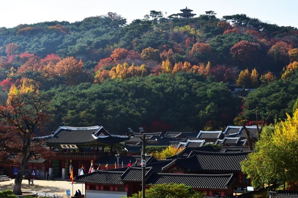 Your Complete Guide To Mountains Hiking in Korea, HIKING IN KOREA | Creatrip Locals