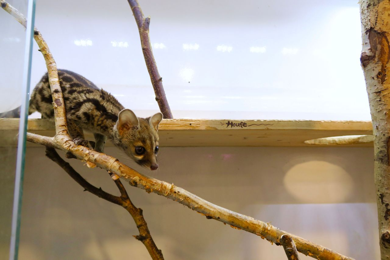 Your Complete Guide To Activities And Things To Do In The City, THINGS TO DO IN SEOUL | Creatrip Locals