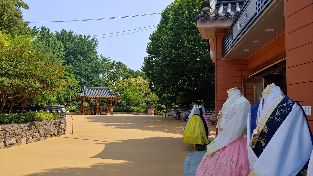 Your Complete Guide To Activities And Things To Do In The City, THINGS TO DO IN SEOUL | Creatrip Locals