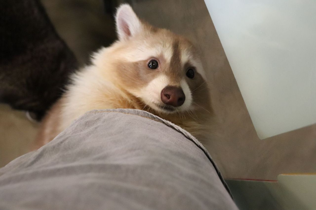 Your Complete Guide To Activities And Things To Do In The City, THINGS TO DO IN SEOUL | Creatrip Locals