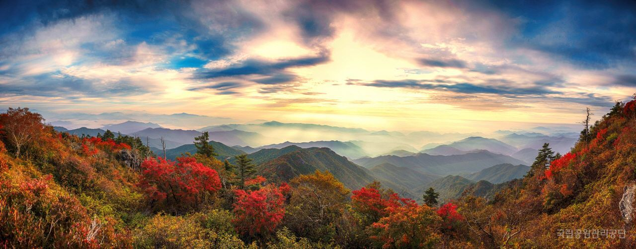 Your Complete Guide To Activities And Things To Do In The City, THINGS TO DO IN SEOUL | Creatrip Locals