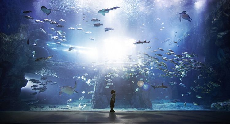 Your Complete Guide To Activities And Things To Do In The City, THINGS TO DO IN SEOUL | Creatrip Locals