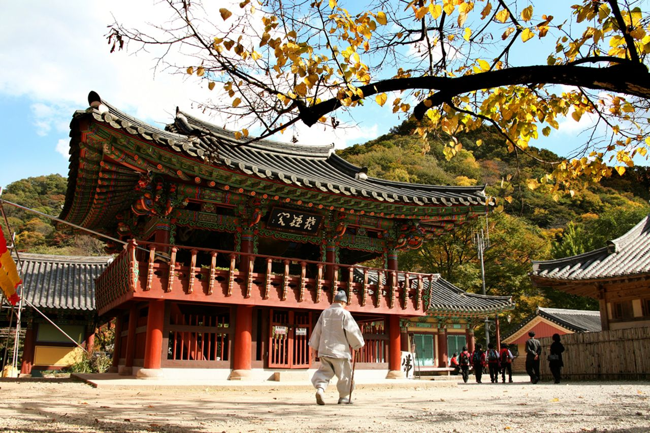 Your Complete Guide To Activities And Things To Do In The City, THINGS TO DO IN SEOUL | Creatrip Locals