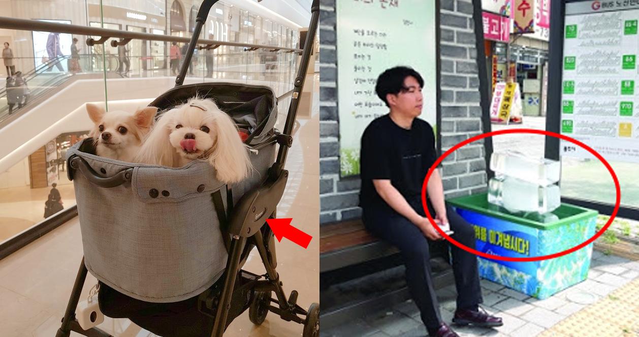 13 choses intéressantes que vous trouverez en Corée