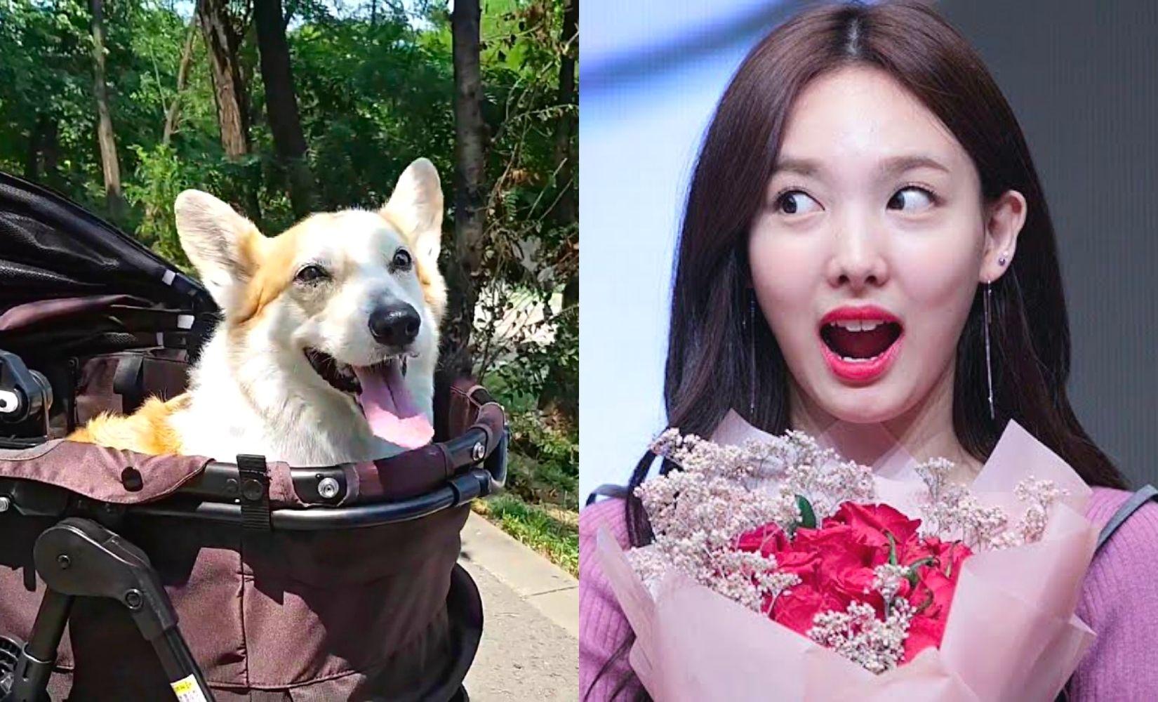 13 điều nhỏ nhặt siêu thú vị ở Hàn Quốc bạn có thể chưa biết