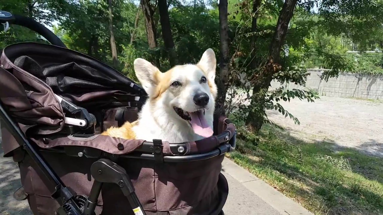 What Are They For? Curious Things In Korea That Will Baffle You!