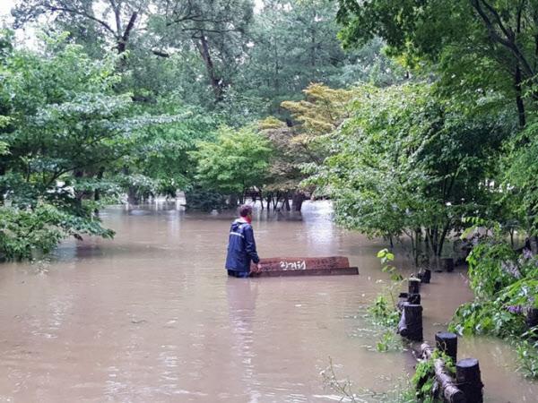 Đảo Nami hoạt động trở lại sau nhiều ngày vật lột với mưa lũ