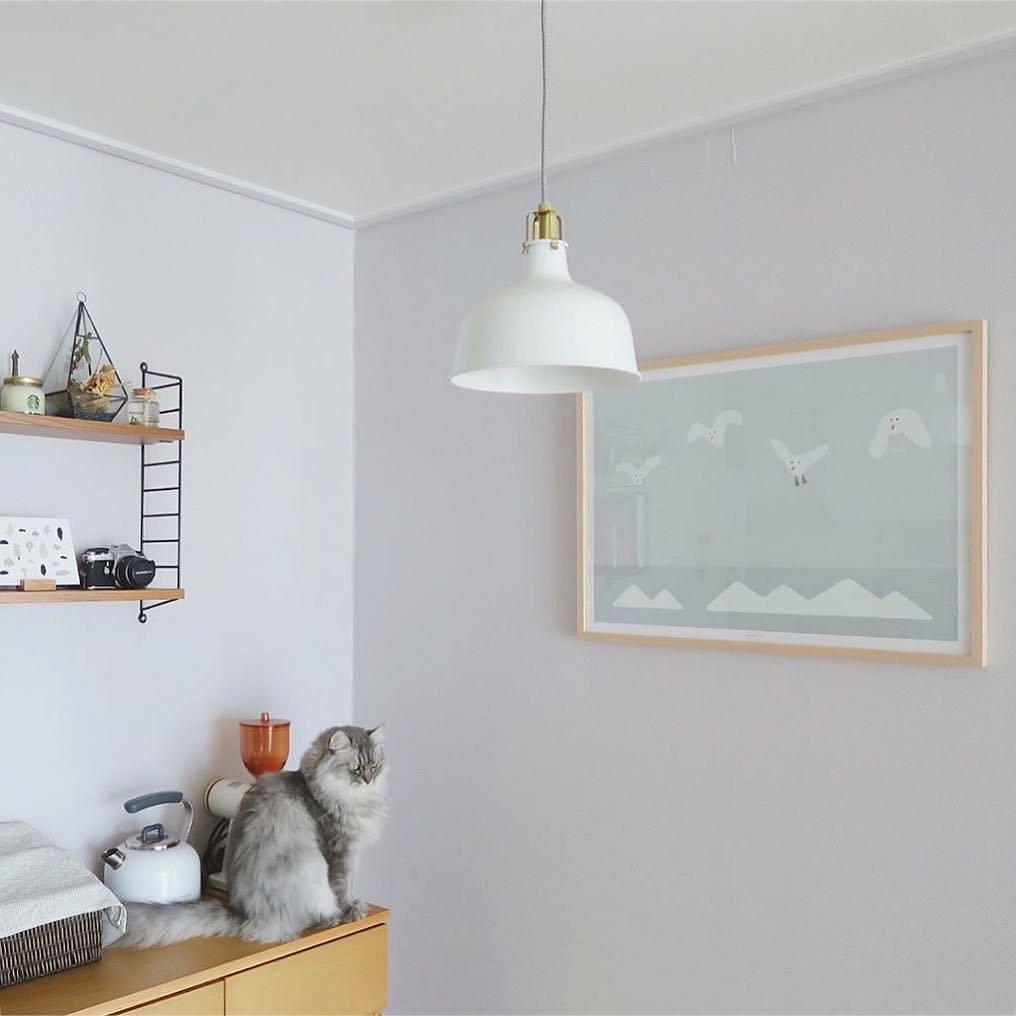 韓国雑貨店の棚に飾られたインテリアアイテム。部屋の雰囲気を明るくする絵の額縁。