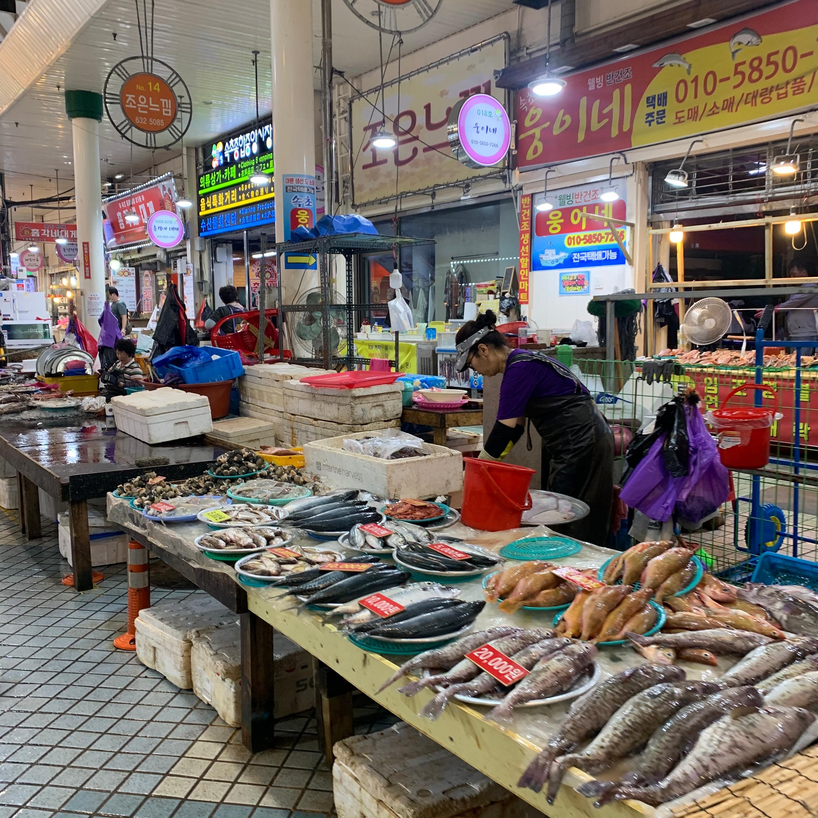 ซกโชที่ไม่ได้มีแค่ซอรัคซาน...เมืองท่องเที่ยวในคังวอนโด บรรยากาศดี ๆ มีทั้งทะเลและภูเขาครบเซต!