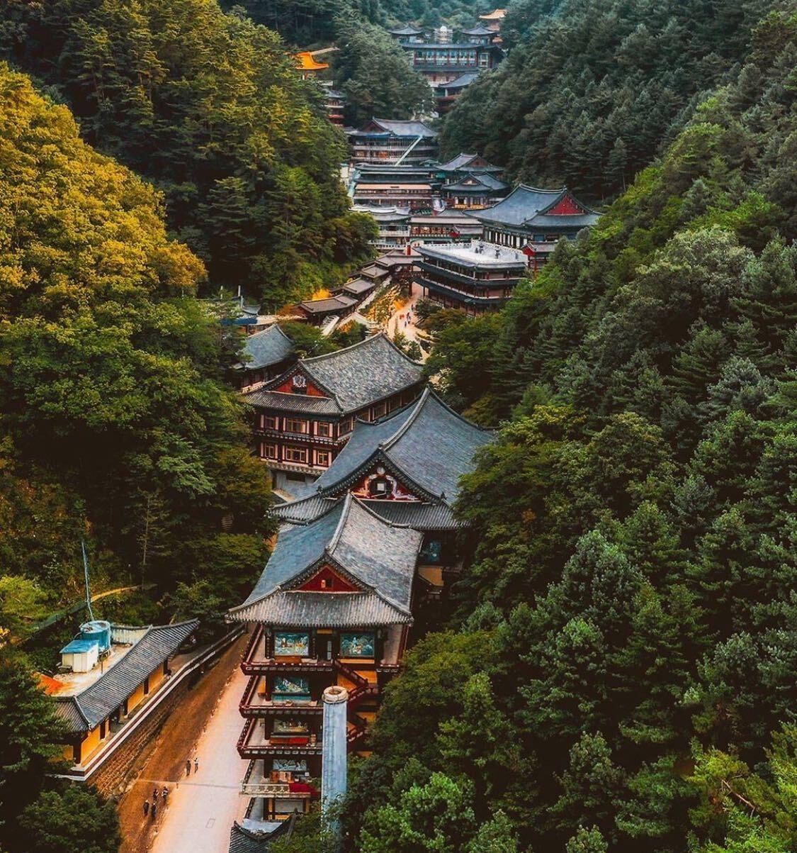 韓国旅行 タニャン ダニャン 韓国地方旅行 ドダムサンボン 韓国パラグライダー 救仁寺 カぺサン 韓国カフェ マンチョンハスカイウォーク